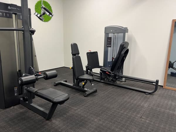 Odin PRO Seated Leg Press 179kg