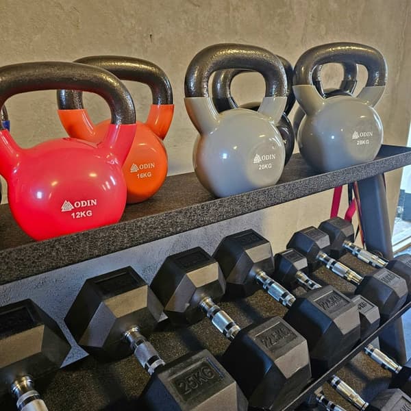 Odin Vinyl/Jern Kettlebell 24kg