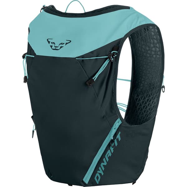 Dynafit Hydration Pack Alpine 15l Grönt XS-S
