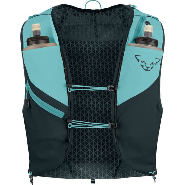 Dynafit Hydration Pack Alpine 15l Grönt XS-S