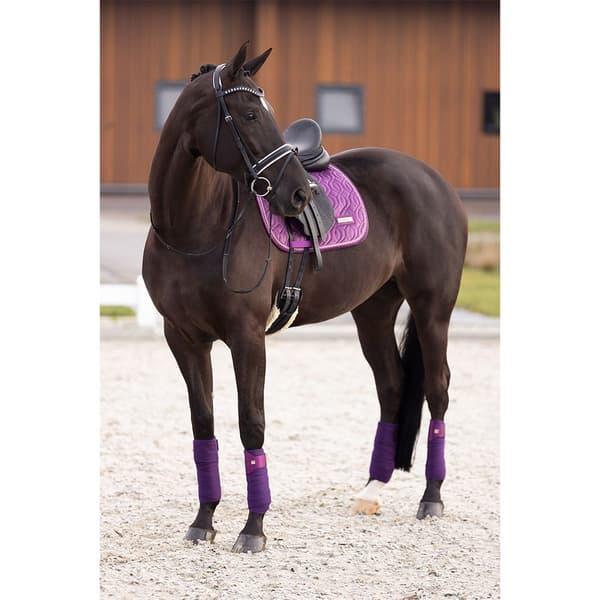 Imperial Riding Sky Dressyrsadel Full