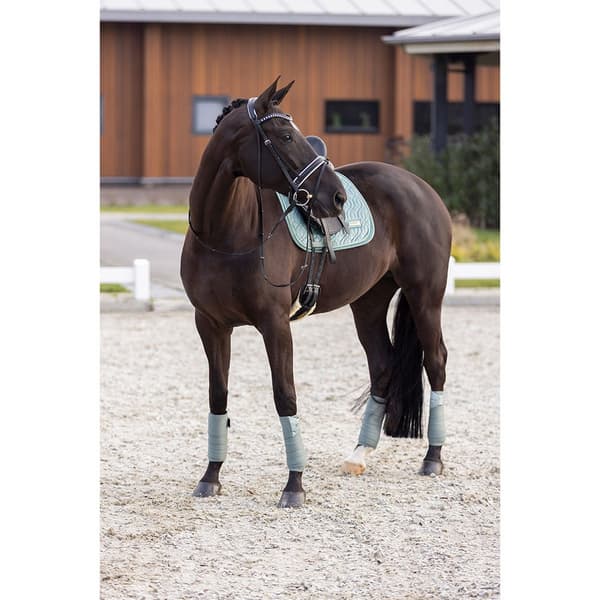 Imperial Riding Sky Dressyrsadel  Pony