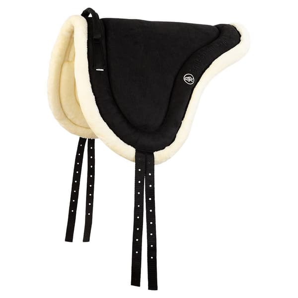 Br Bar Ryggdyna  Pony