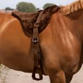 Miniatyrbild 1 av 3: Norton Equestrian Sadelunderlägg För Allmänna ändamål Cru Confort Fs Brun Full