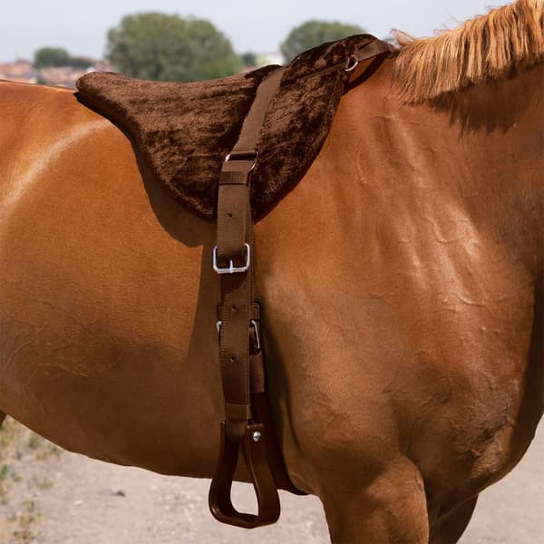 Norton Equestrian Sadelunderlägg För Allmänna ändamål Cru Confort Fs Brun Full