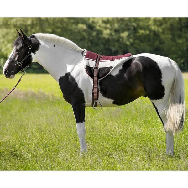 Norton Equestrian Sadel Pad Riding Flerfarvet Cob-Full