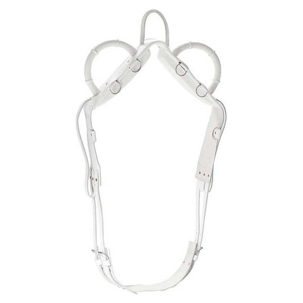 Norton Equestrian Vaulting Surcingle Valkoinen Pony