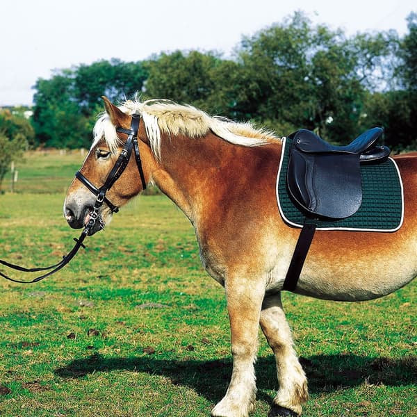 Norton Equestrian Yleiskäyttöinen Satula Club Extra Full Vihreä 18´´