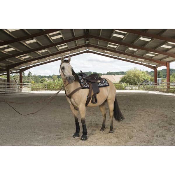 Westride Sadel Arvada Gylden 16´´