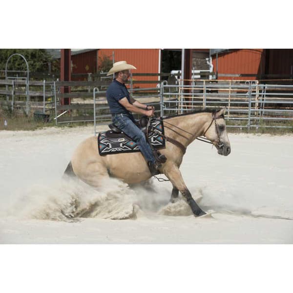 Westride Sadel Arvada Gylden 16´´