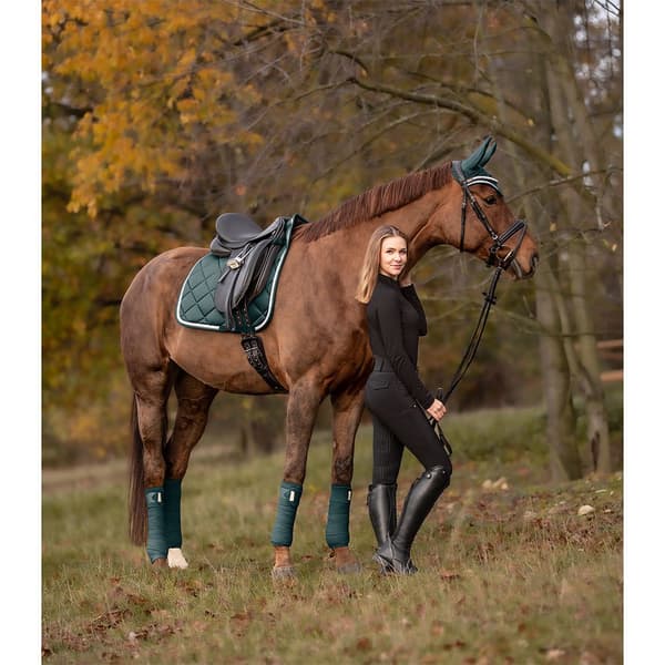 Waldhausen Sadelunderlag Til Dressur Competition Sort Full