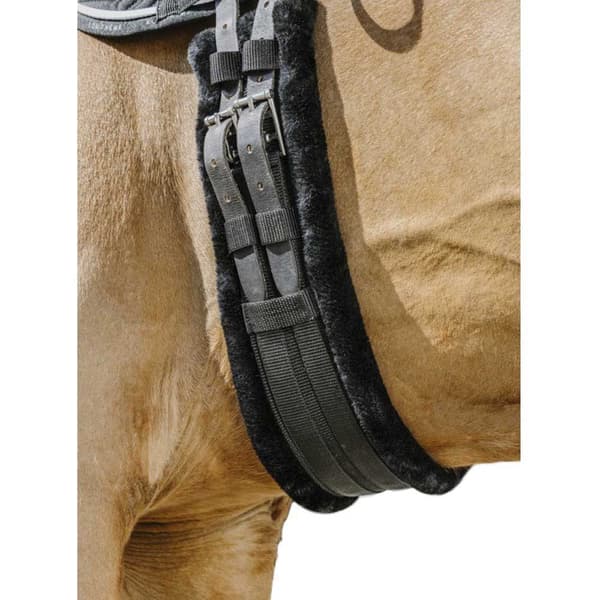 Norton Equestrian Omkrets Smooth Svart 70 cm
