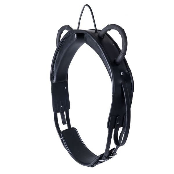 Waldhausen Lunging Surcingle Roller Training Musta Full