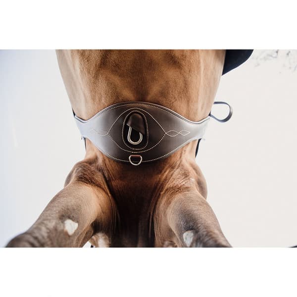 Kentucky Omkreds Anatomic  130 cm