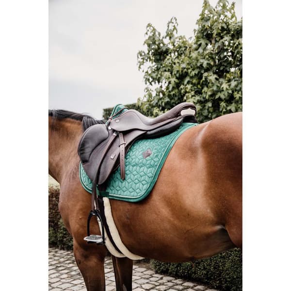 Kentucky Sadelpudespring Velvet  Pony