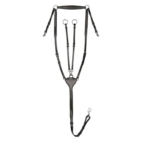 Waldhausen Martingal 95795 X-line Professional Svart Cob