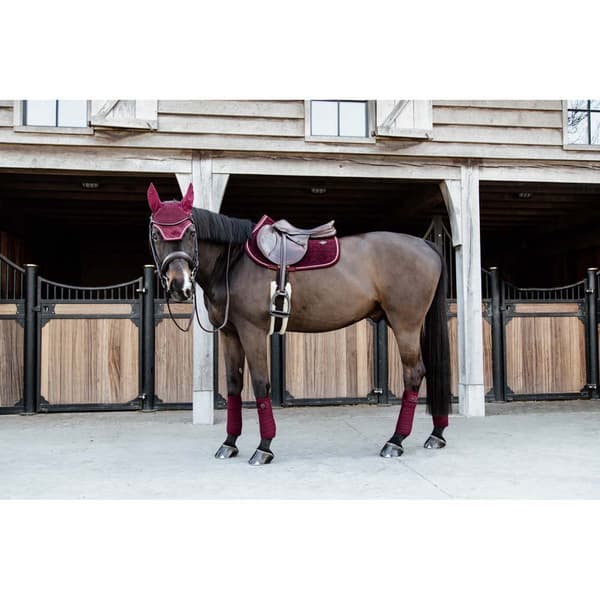 Kentucky Satulatyynyn Hyppy Velvet Violetti Cob