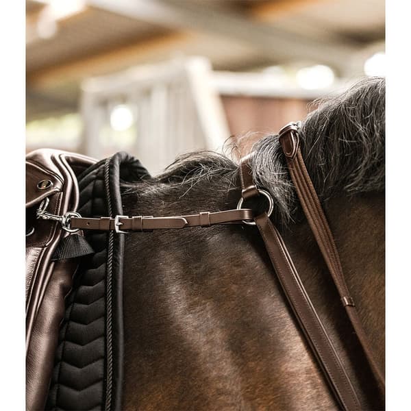 Waldhausen Martingal 95795 X-line Professional Brun Cob