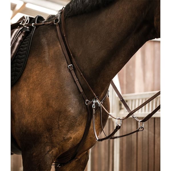 Waldhausen Martingal 95795 X-line Professional Brun Cob
