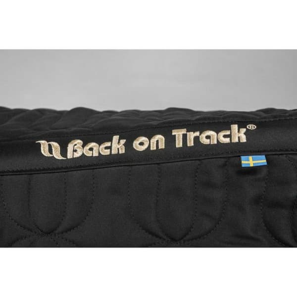 Back On Track Satulahuopa Cso  Full