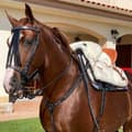 Miniatyrbillede 5 af 6: Marjoman Distribucion Standard Mixed Fiber Full Western Sadel