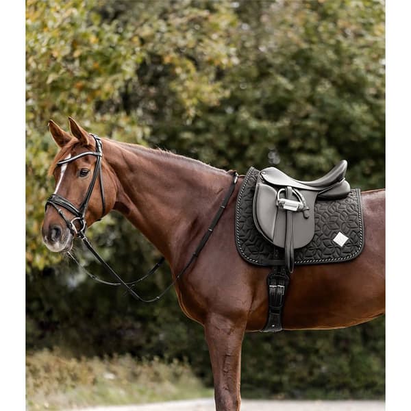 Waldhausen Satulahuopa Marseille  Dressage