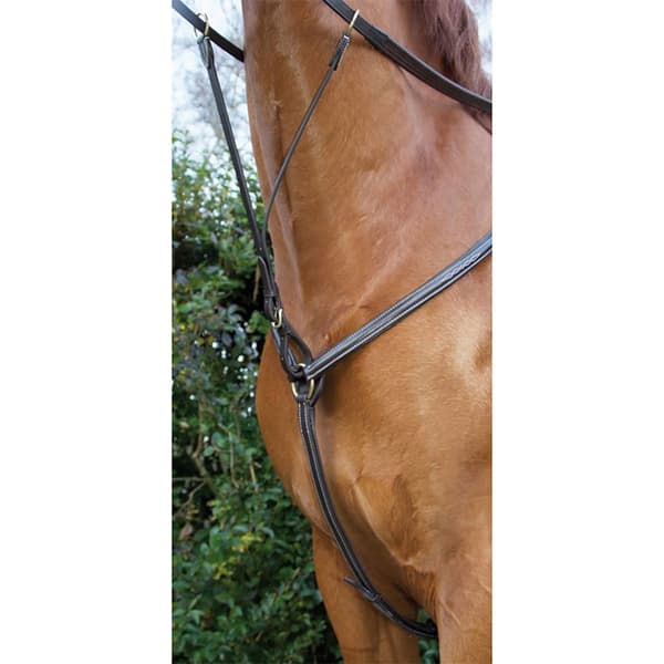 T.de.t Hunting Syet Foret Krave  Pony
