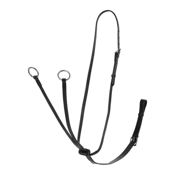 Acavallo Calfskin Martingale  Cob