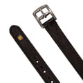 Miniatyrbillede 4 af 5: Equestro Double Curved Buckle Læderremme  145 cm
