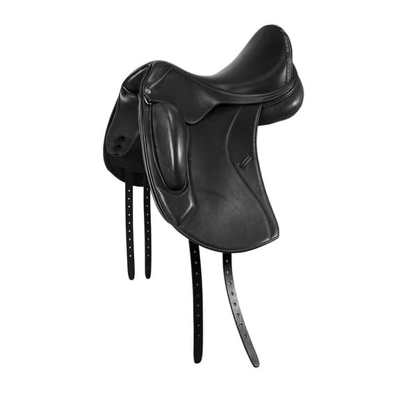 Acavallo Leonardo Dressursadel  17.5´´