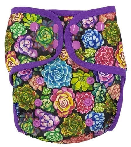 Indpakning med piping - SUCCULENTS XL 10-20kg