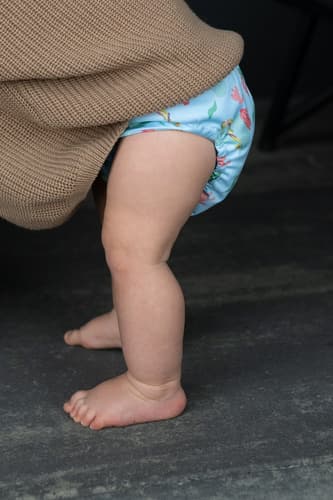 Bleovertræk XL SØHEST 15-22 kg