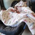Pikkukuva 2 / 8: Kesäinen auton istuinsuoja - Niitynbeige
