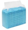 Miniatyrbild 2 av 6: 100-Pack - Hygienunderlägg / Engångsunderlägg / Hygien Underlägg Blå 33*45cm