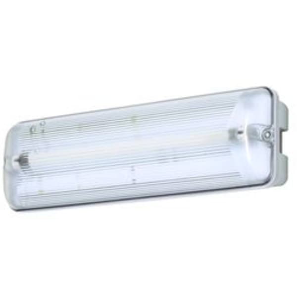 B-SAFETY BR563130 Nödutgångsbelysning Väggmontering, Takmontering vänster, höger, hög