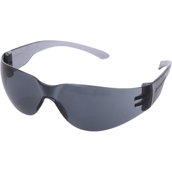 Delta Plus Brava 2 Safety Glasses