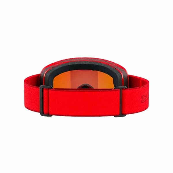 Skibriller Salomon Aksium Multifarvet