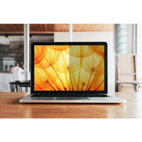 3M Bpnde003 Blickskyddf. 1610 Bright Scr.Dell Multi-Line 15.6 710031