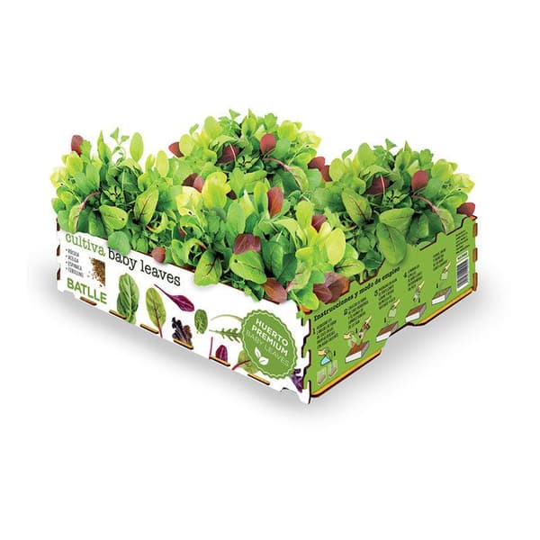 Salladsbox - Batlle - Unga blad - 4 sorter - Mått 40x29x10,5 cm - Vikt 2,6 kg