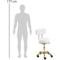 Miniatyrbild 2 av 5: physa Pall med ryggstöd - 51 - 66 cm - 150 kg - vit