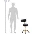 Miniatyrbild 2 av 5: physa Pall med ryggstöd - 51 - 66 cm - 150 kg - svart