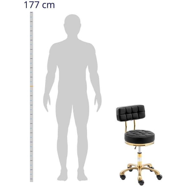 physa Pall med ryggstöd - 51 - 66 cm - 150 kg - svart
