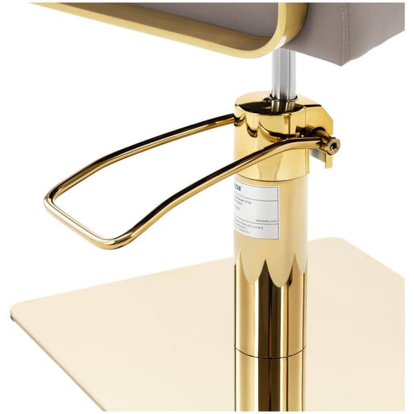 physa Frisörstol med fotstöd - 900–1050 mm - 200 kg - Beige / guldfärgad