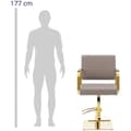 Miniatyrbild 2 av 6: physa Frisörstol med fotstöd - 900–1050 mm - 200 kg - Beige / guldfärgad