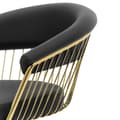 Miniatyrbild 3 av 5: physa Frisörstol med fotstöd - 820–950 mm - 200 kg - Svart, Guld
