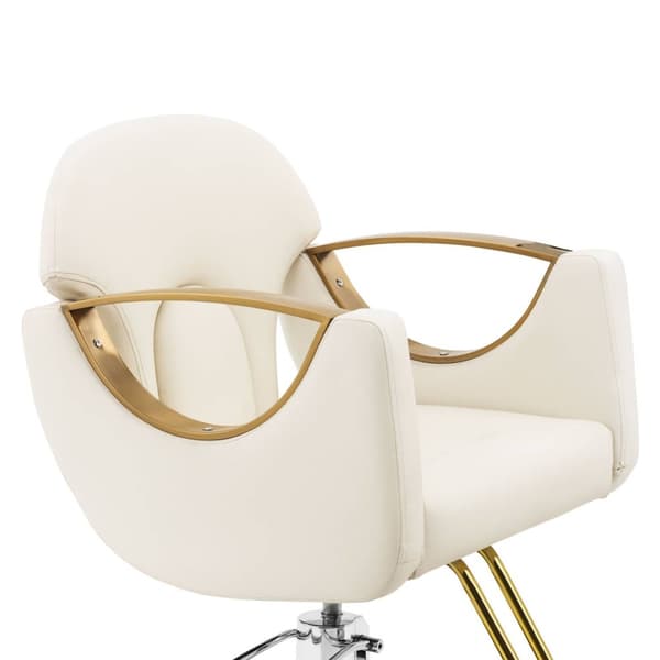 physa Frisörstol med fotstöd - 55–65 cm - 180 kg - Beige