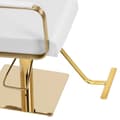 Miniatyrbild 4 av 6: physa - Frisörstol med fotstöd - 50–66 cm - 200 kg - Vit / guld
