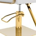 Miniatyrbild 2 av 6: physa - Frisörstol med fotstöd - 50–66 cm - 200 kg - Vit / guld