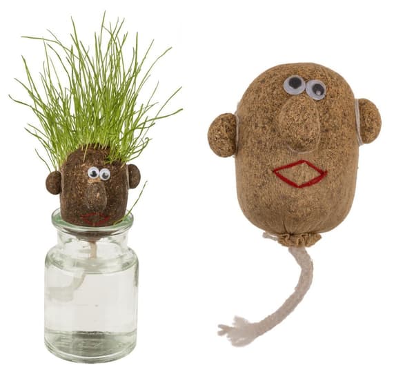 Dyrk din egen gresshode - Gressfrø - Plant Gress 1-Pack
