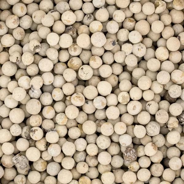 Valkopippureita 100 g
